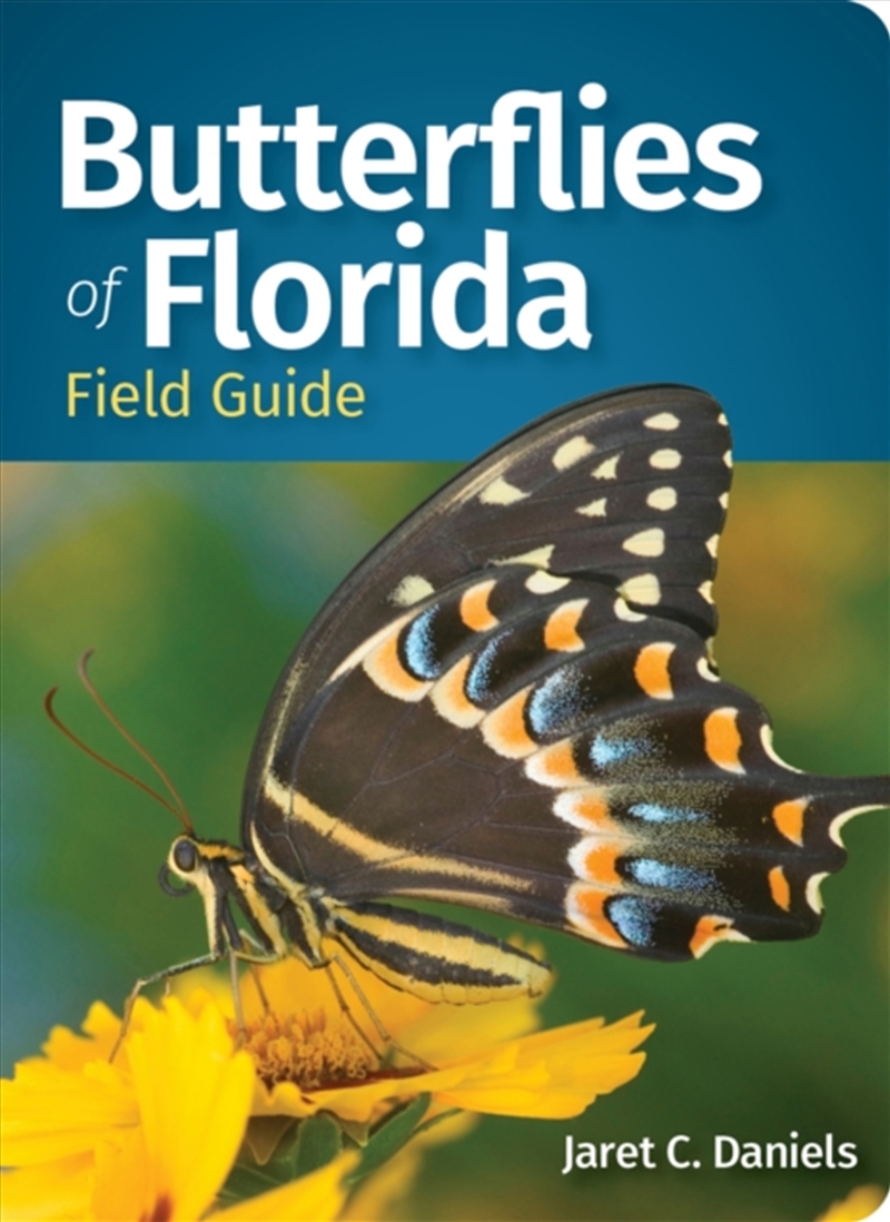 Butterflies of Florida Field Guide/Product Detail/Animals & Nature