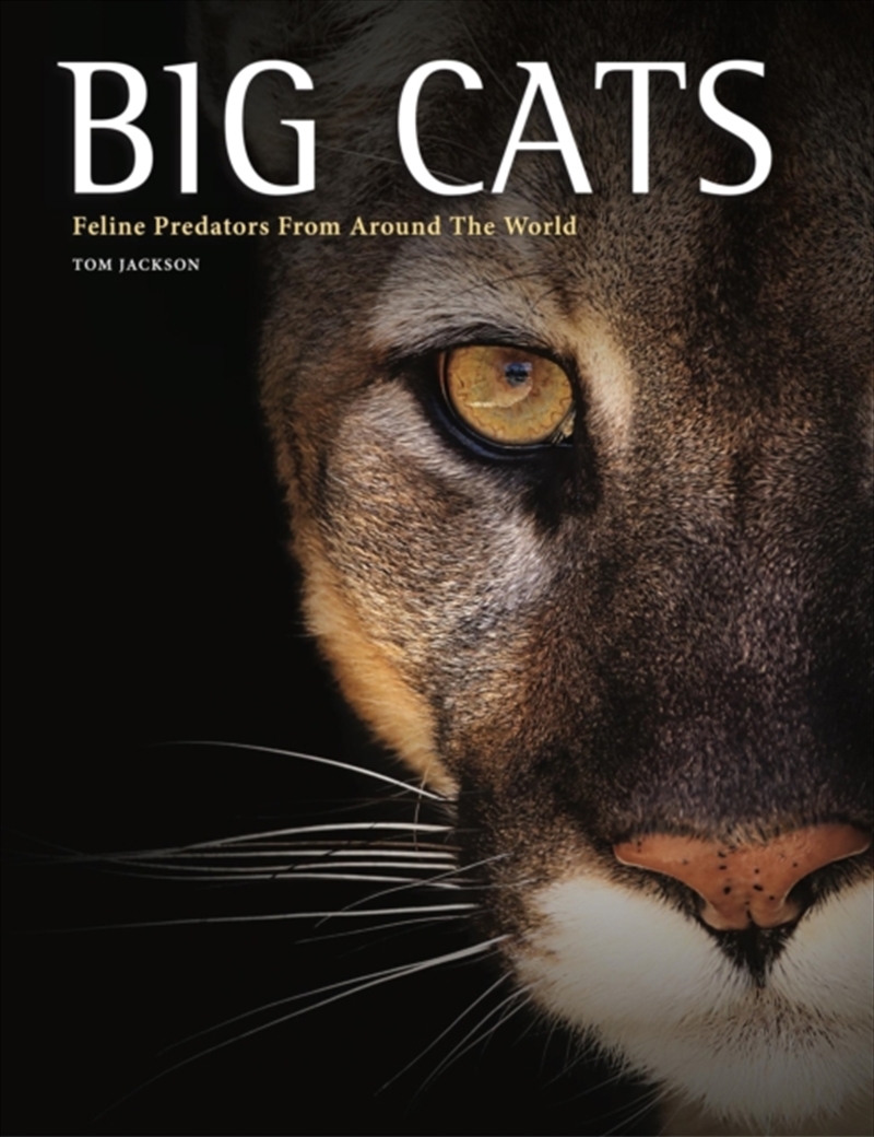 Big Cats : Feline Predators From Around The World/Product Detail/Animals & Nature