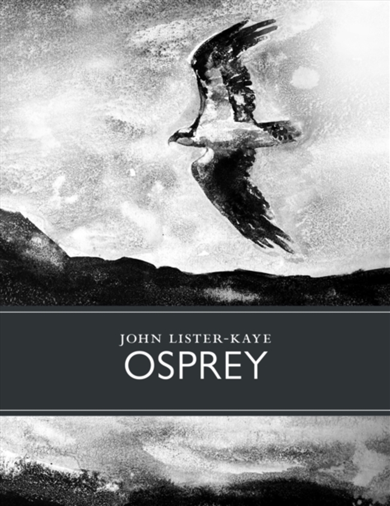 Osprey/Product Detail/Animals & Nature