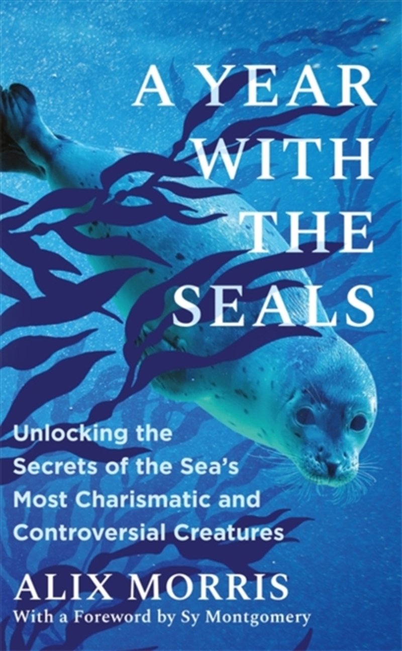 A Year with the Seals : Unlocking the Secrets of the Sea's Most Charismatic and Controversial Creatu/Product Detail/Science