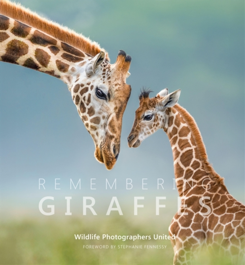Remembering Giraffes/Product Detail/Animals & Nature