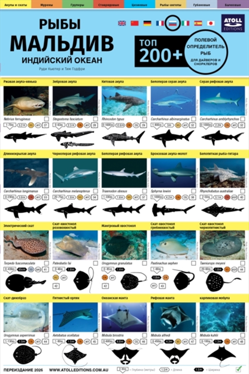 Polevoy Opredelitel Ryb : Top 200+ (Russian)/Product Detail/Animals & Nature