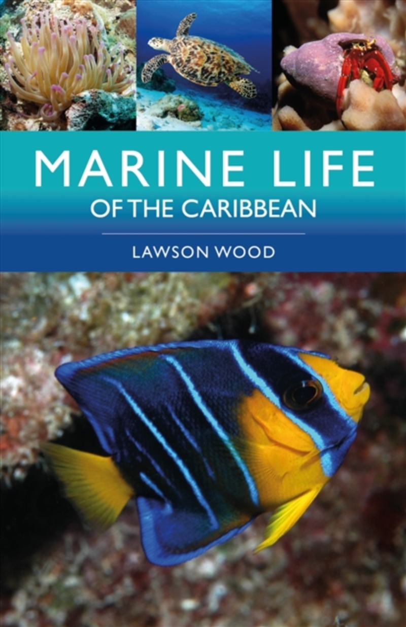 Marine Life of the Caribbean/Product Detail/Animals & Nature