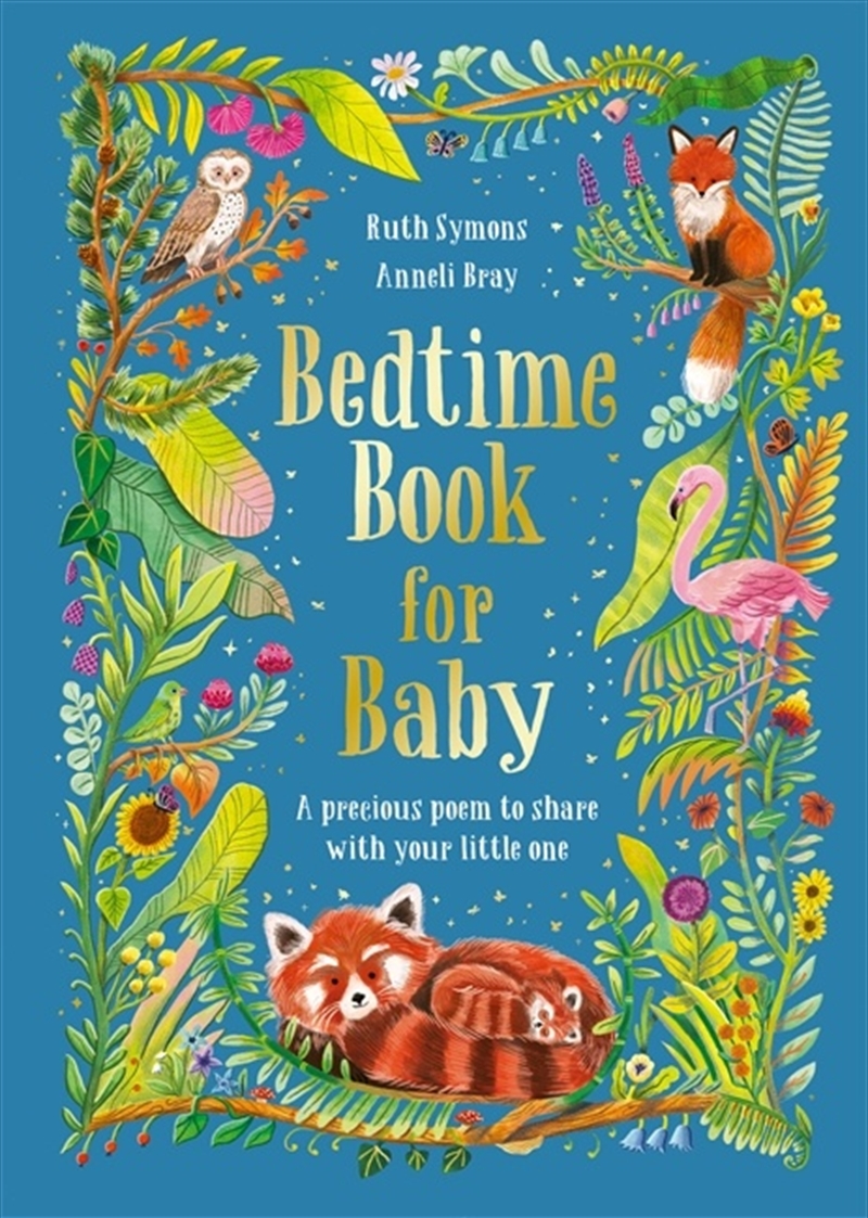 Bedtime Book for Baby/Product Detail/Early Childhood Fiction Books