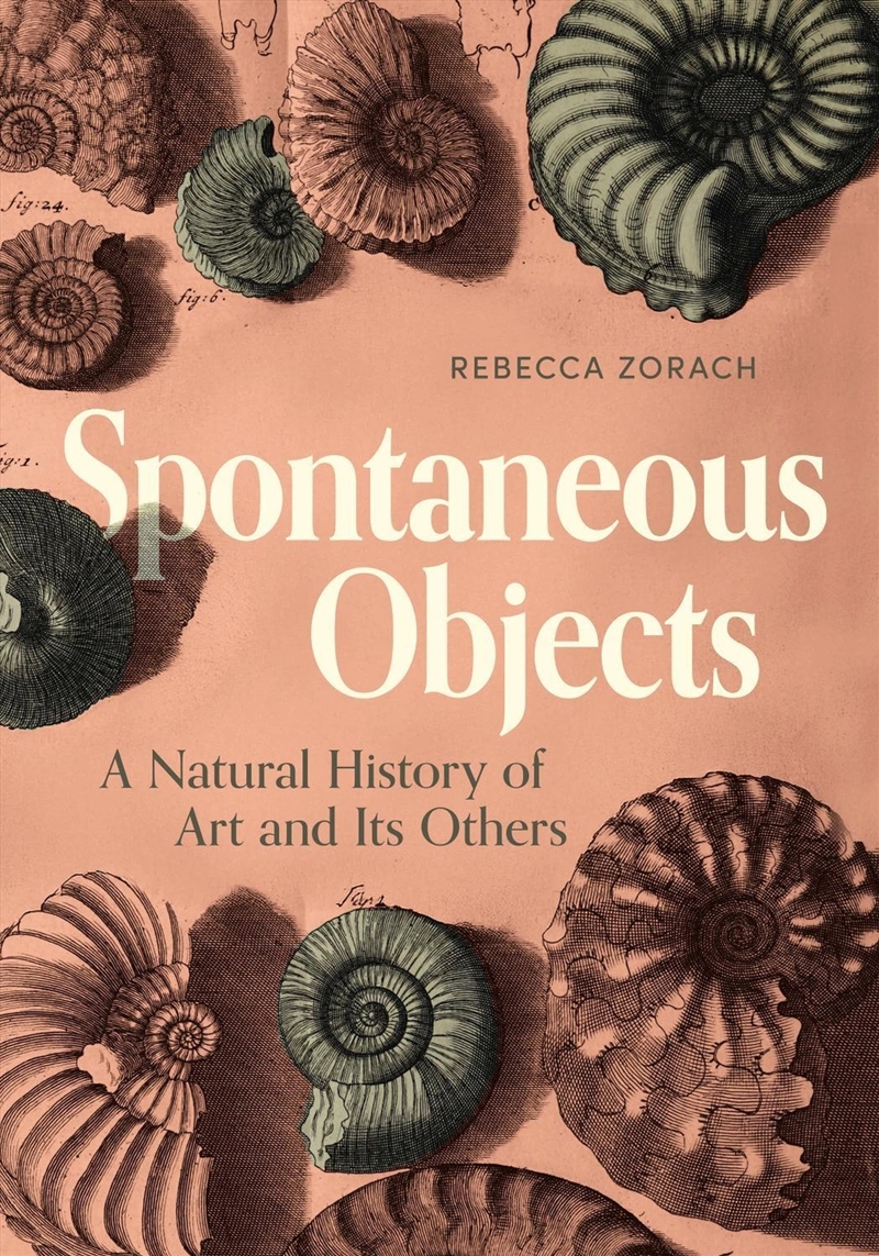 Spontaneous Objects : A Natural History of Art and Its Others/Product Detail/Art