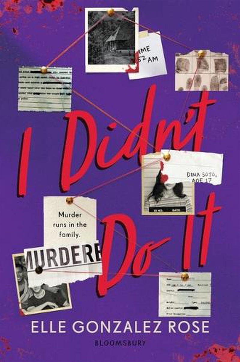 I Didn't Do It/Product Detail/Childrens Fiction Books