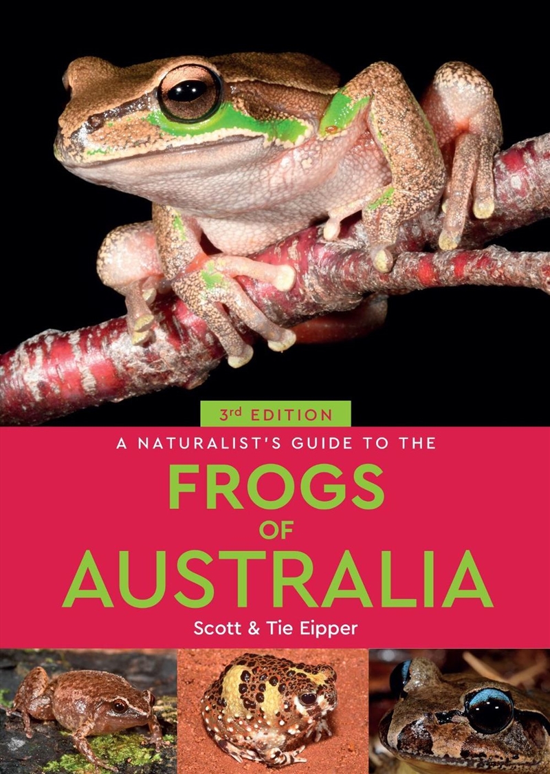 A Naturalist's Guide to the Frogs of Australia/Product Detail/Animals & Nature