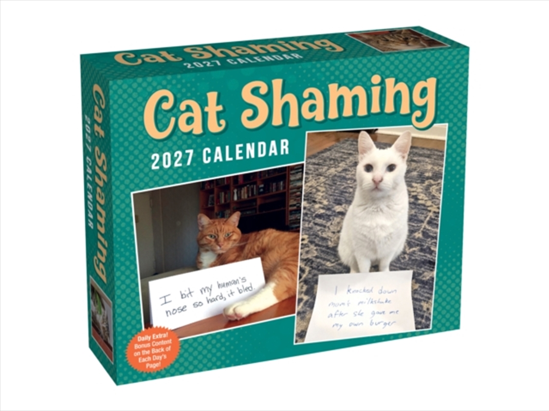 Cat Shaming 2027 Day-to-Day Calendar/Product Detail/Calendars & Diaries