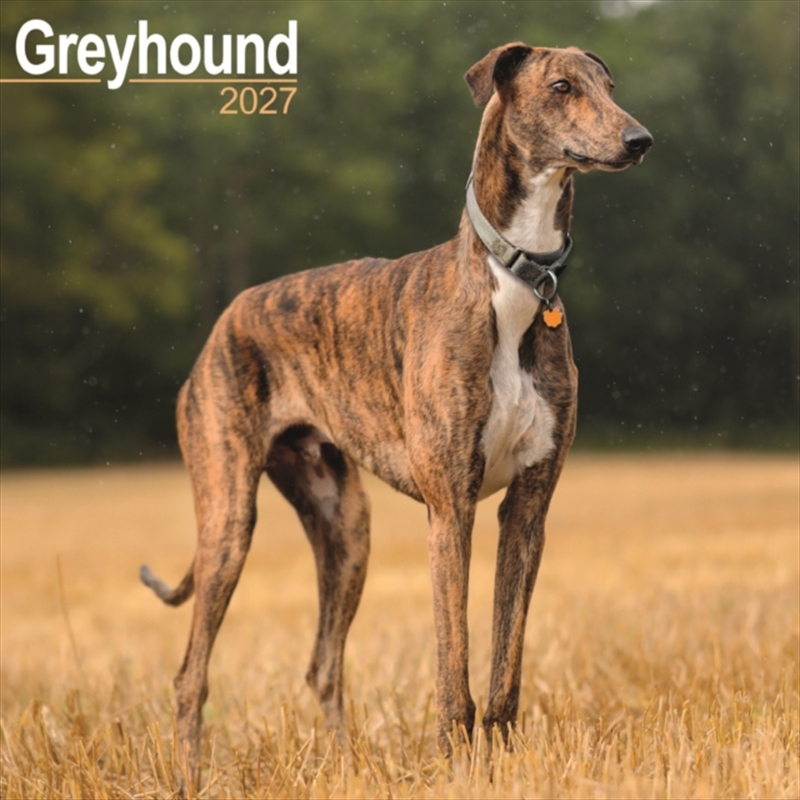Greyhound SS Wall/Product Detail/Calendars & Diaries