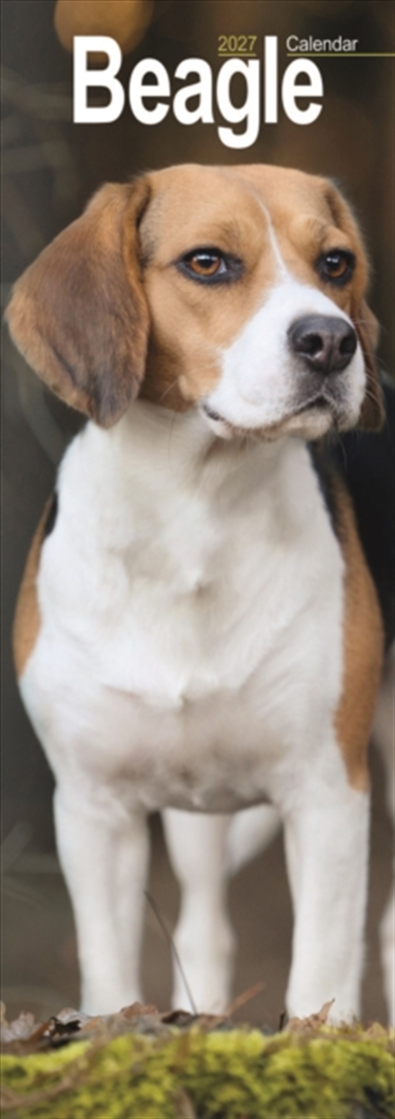 Beagle Slim/Product Detail/Calendars & Diaries