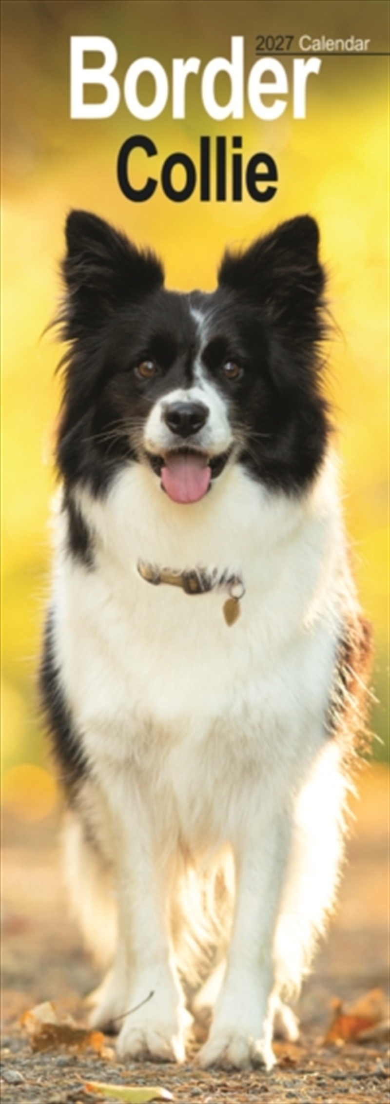Border Collie Slim/Product Detail/Calendars & Diaries