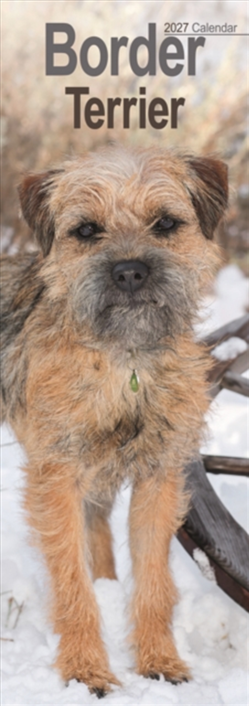 Border Terrier Slim/Product Detail/Calendars & Diaries