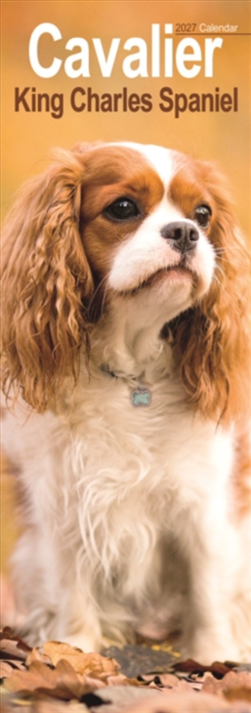 Cavalier King Charles Spaniel Slim/Product Detail/Calendars & Diaries