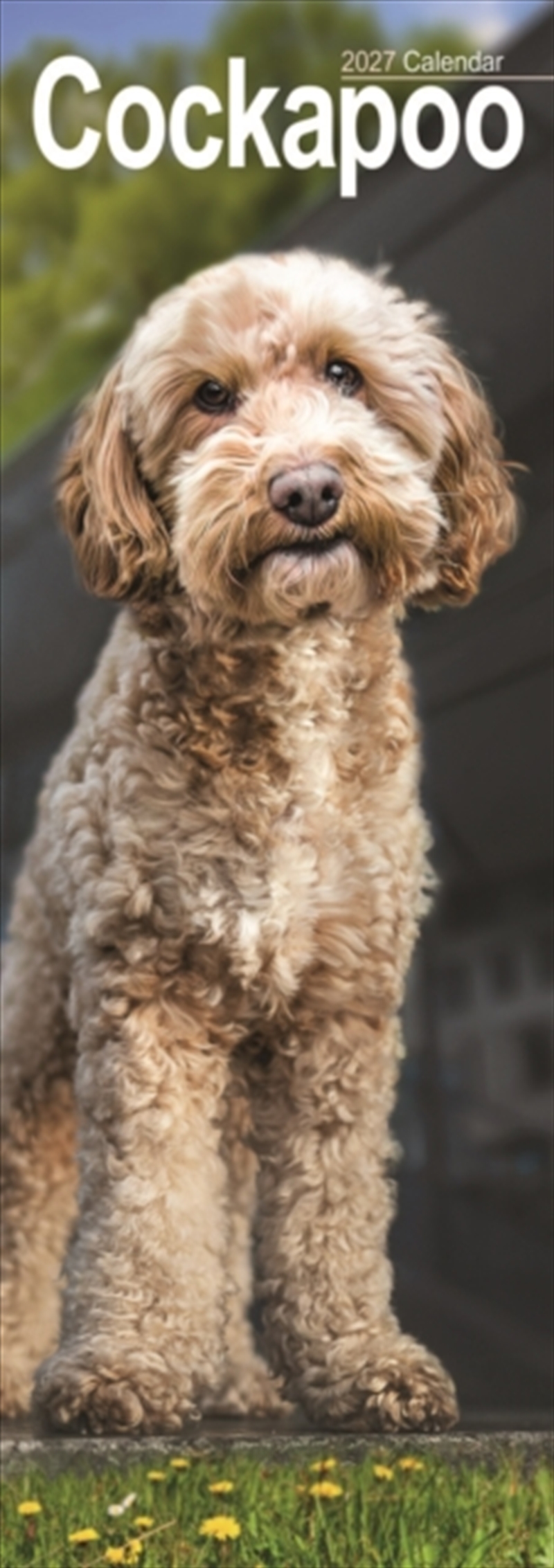 Cockapoo Slim/Product Detail/Calendars & Diaries