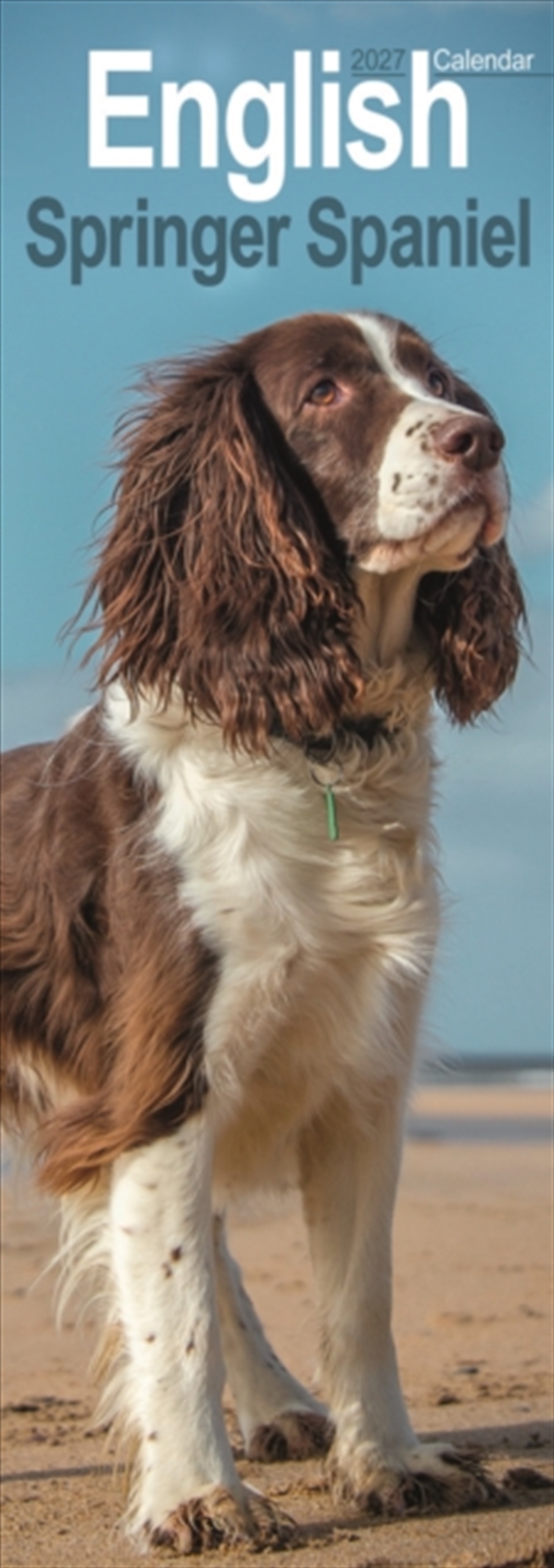 English Springer Spaniel Slim/Product Detail/Calendars & Diaries