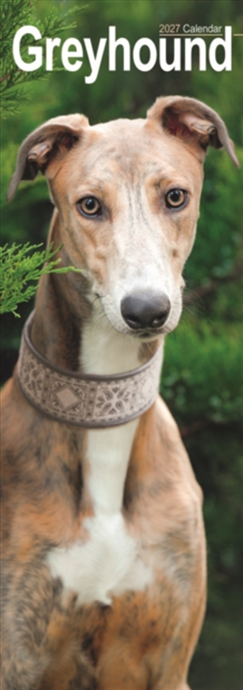 Greyhound Slim/Product Detail/Calendars & Diaries