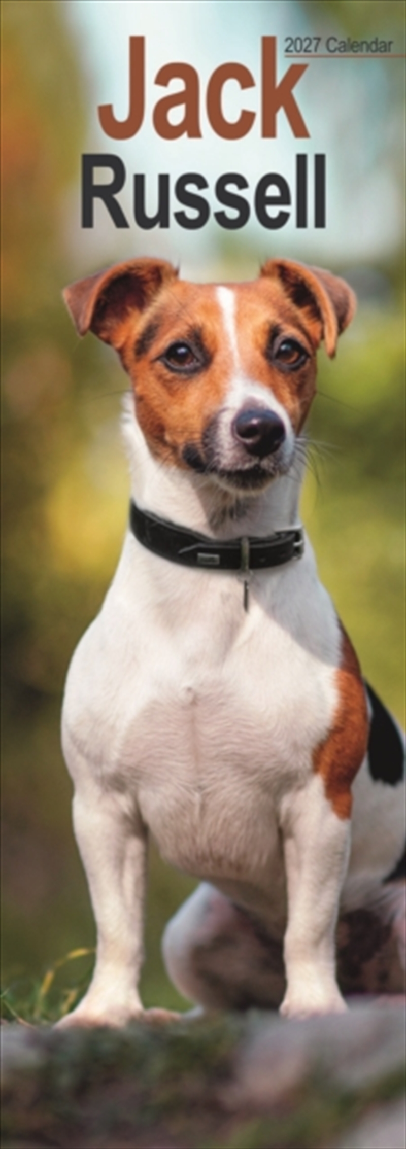 Jack Russell Slim/Product Detail/Calendars & Diaries