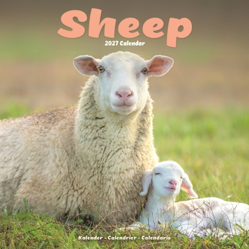 Sheep Wall/Product Detail/Calendars & Diaries