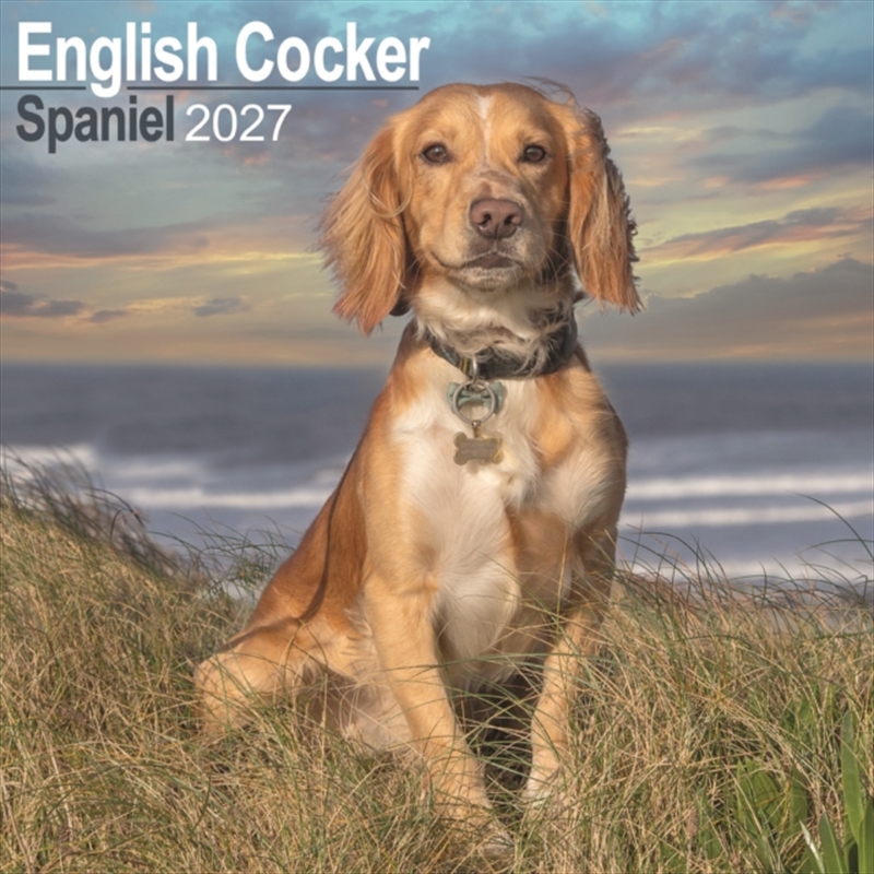 English Cocker Spaniel Wall/Product Detail/Calendars & Diaries