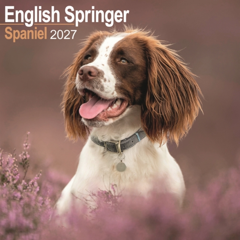 English Springer Spaniel Wall/Product Detail/Calendars & Diaries