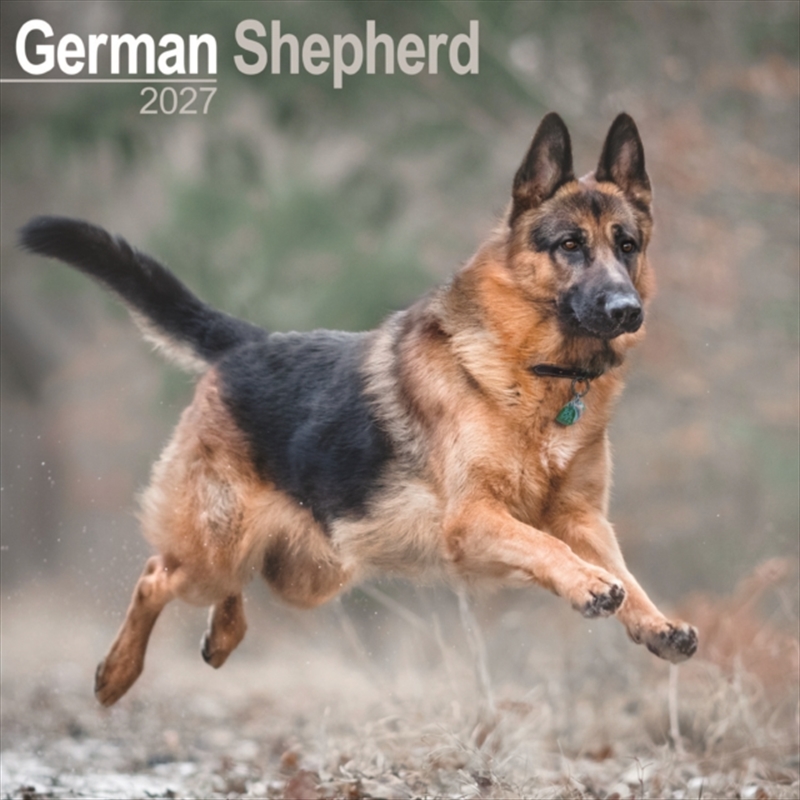 German Shepherds Wall/Product Detail/Calendars & Diaries