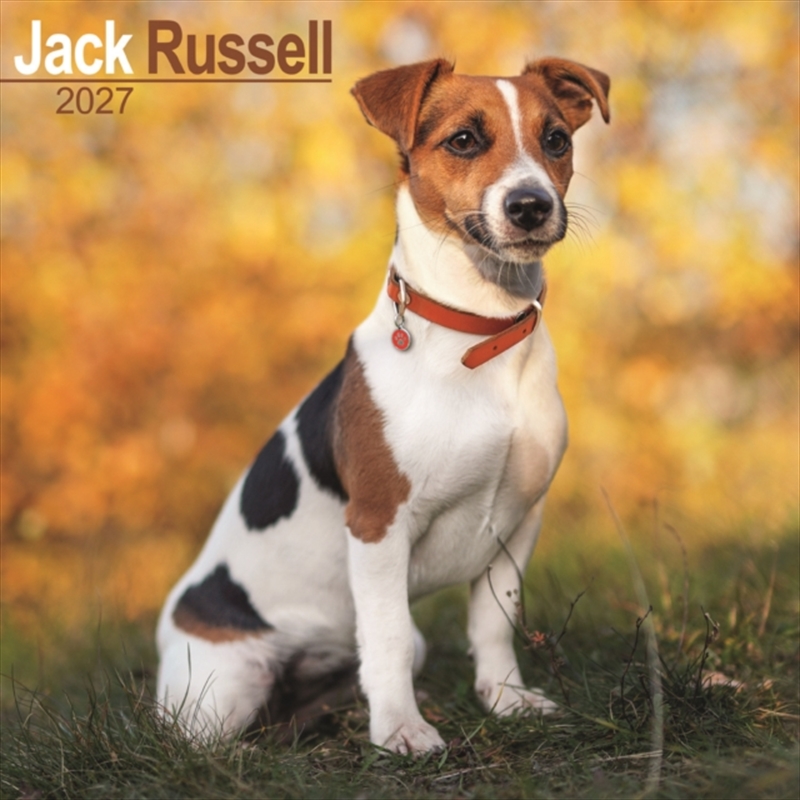 Jack Russell Wall/Product Detail/Calendars & Diaries