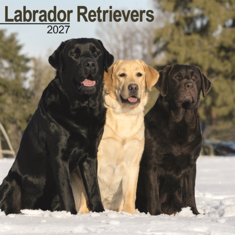 Labrador Retrievers Wall/Product Detail/Calendars & Diaries