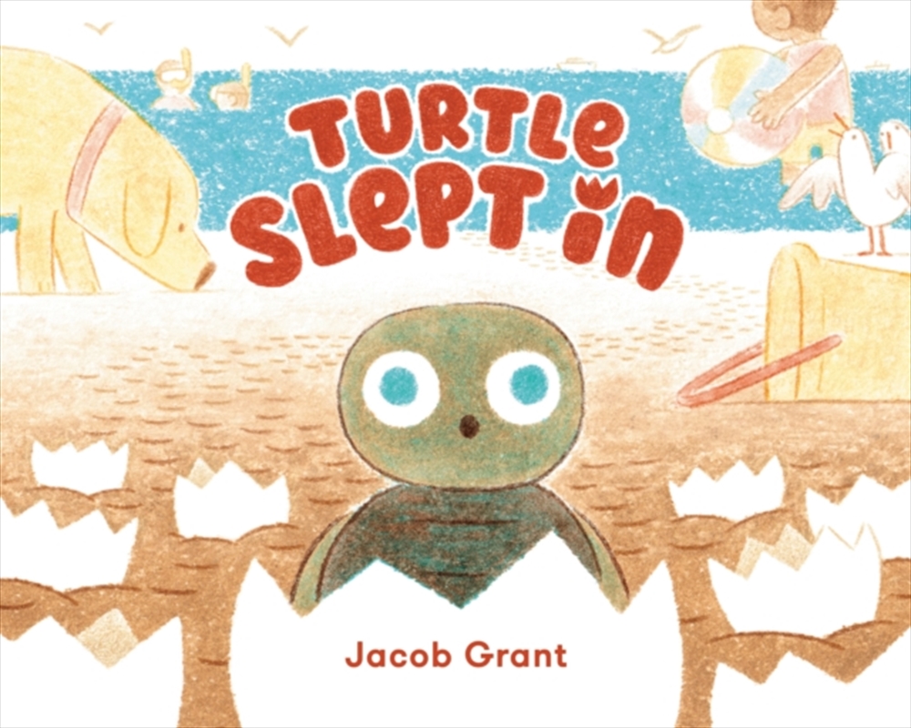 Turtle Slept In/Product Detail/Early Childhood Fiction Books