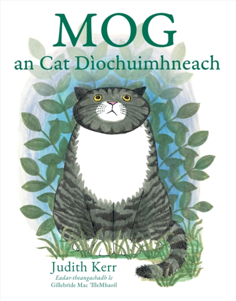 Mog an Cat Diochuimhneach : Mog the Forgetful Cat in Scottish Gaelic/Product Detail/Early Childhood Fiction Books