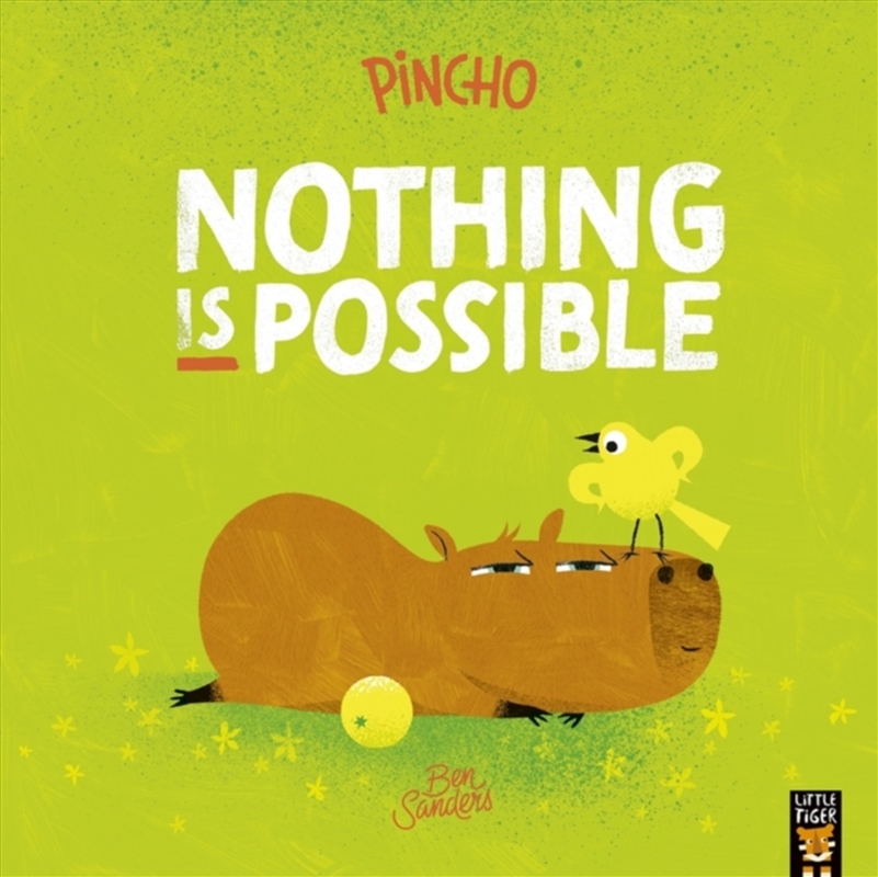 Pincho: Nothing IS Possible/Product Detail/Early Childhood Fiction Books