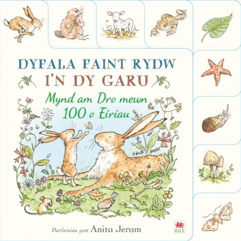 Dyfala Faint Rydw i'n dy Garu: Mynd am Dro mewn 100 o Eiriau/Product Detail/Early Childhood Fiction Books