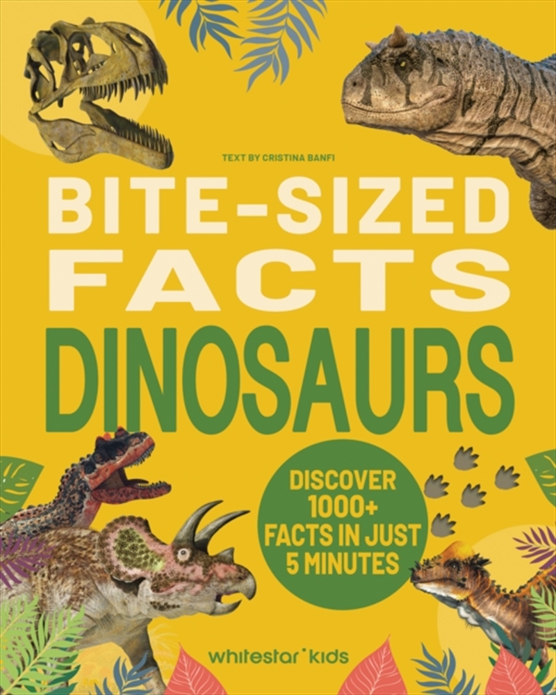 Bite-Sized Facts: Dinosaurs/Product Detail/Childrens