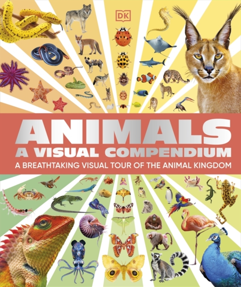 Animals A Visual Compendium : An Incredible Guide to the Animal Kingdom/Product Detail/Childrens