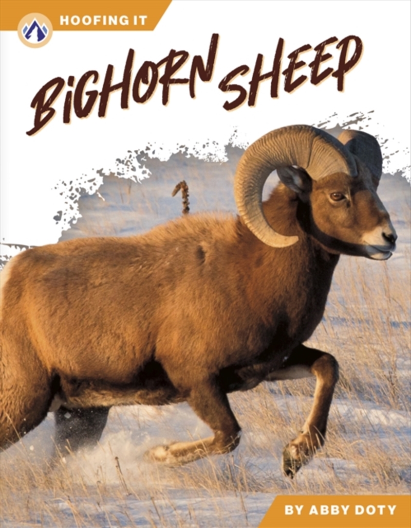 Bighorn Sheep/Product Detail/Childrens