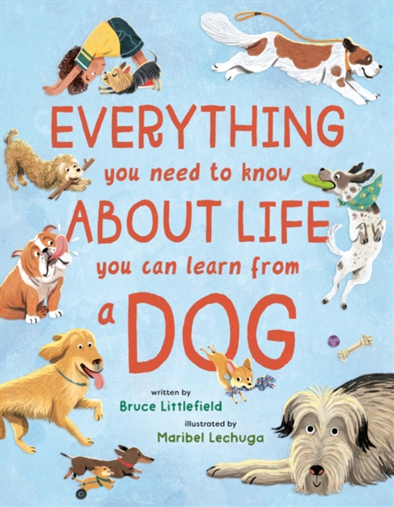 Everything You Need to Know About Life You Can Learn from a Dog/Product Detail/Childrens
