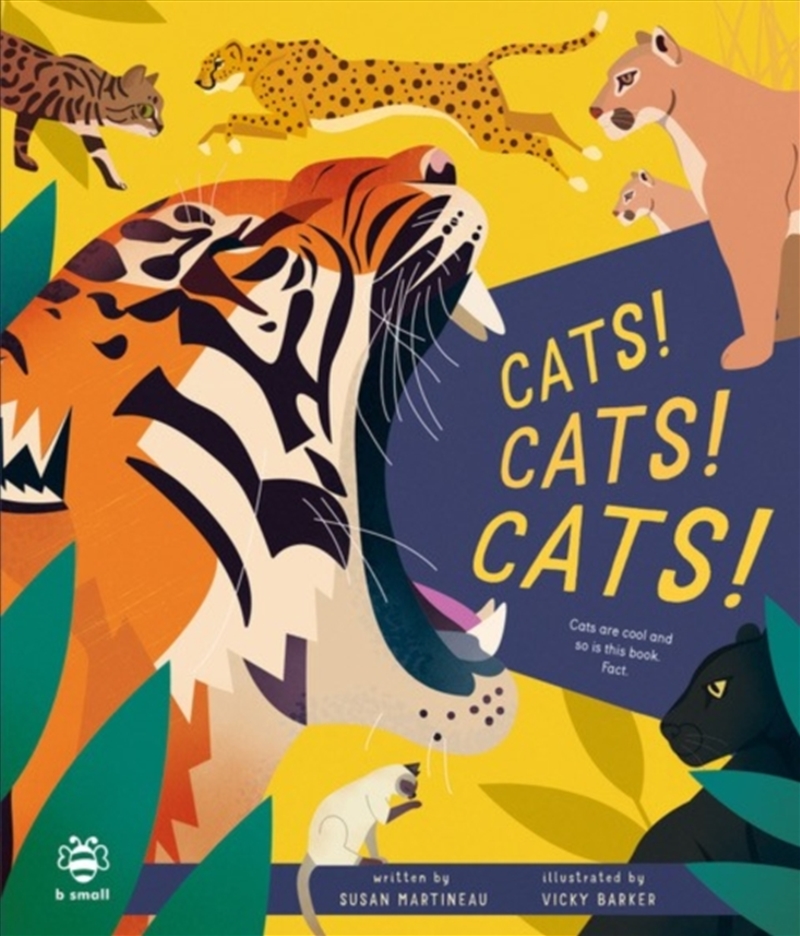 Cats! Cats! Cats! : Cats are Cool and So is This Book. Fact./Product Detail/Childrens