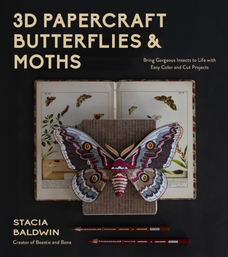 3D Papercraft Butterflies & Moths : Bring Gorgeous Insects to Life with Easy Color and Cut Projects/Product Detail/Crafts & Handiwork