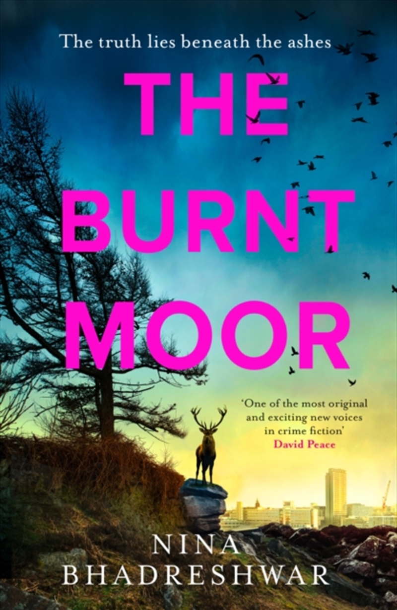 The Burnt Moor/Product Detail/Crime & Mystery Fiction
