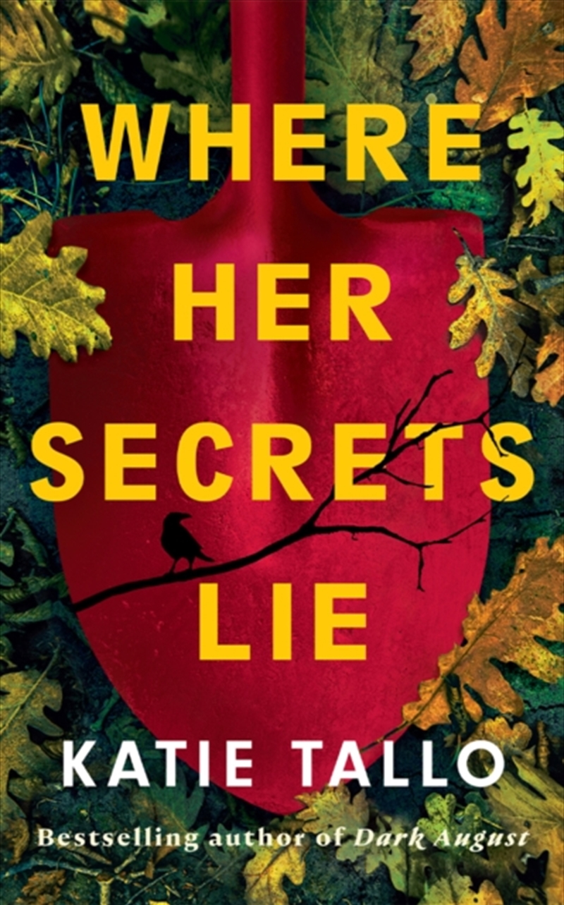 Where Her Secrets Lie/Product Detail/Crime & Mystery Fiction
