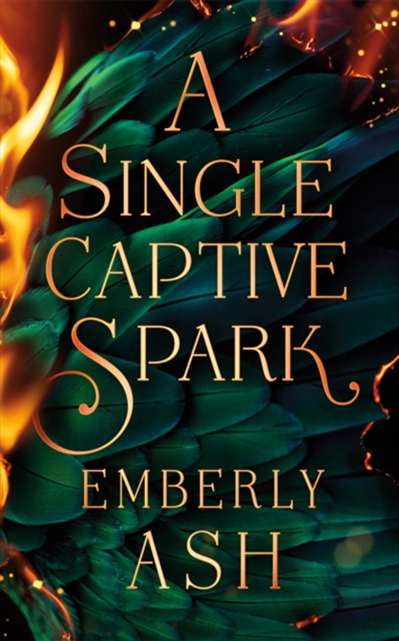 A Single Captive Spark/Product Detail/Fantasy Fiction