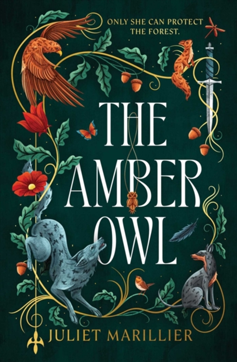 The Amber Owl : Volume 1/Product Detail/Fantasy Fiction