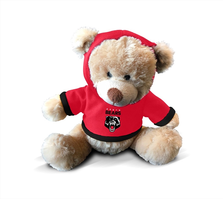 Plush Teddy With Hoodie/Product Detail/Plush Toys