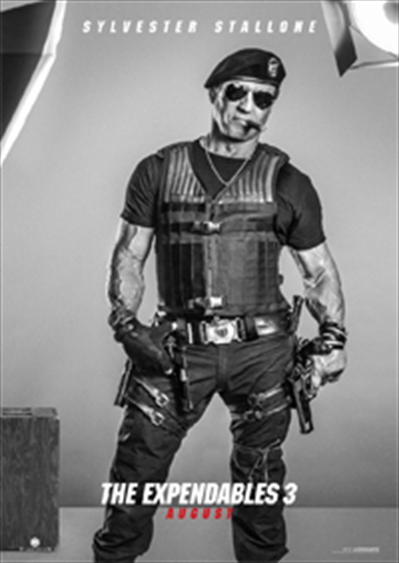 Expendables 3/Product Detail/Future Release