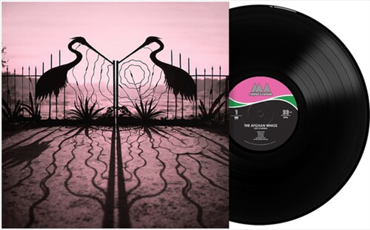 Soft Control/Product Detail/Rock/Pop
