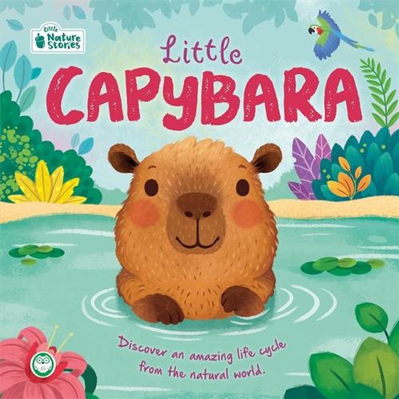 Little Capybara: Little Nature Stories/Product Detail/Early Childhood Fiction Books