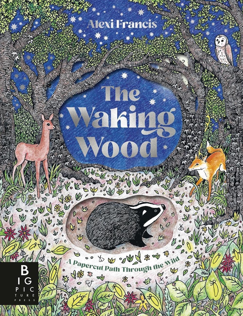The Waking Wood/Product Detail/Early Childhood Fiction Books