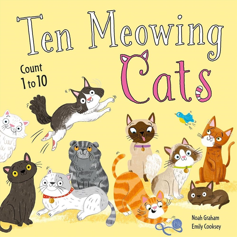 Ten Meowing Cats/Product Detail/Early Childhood Fiction Books