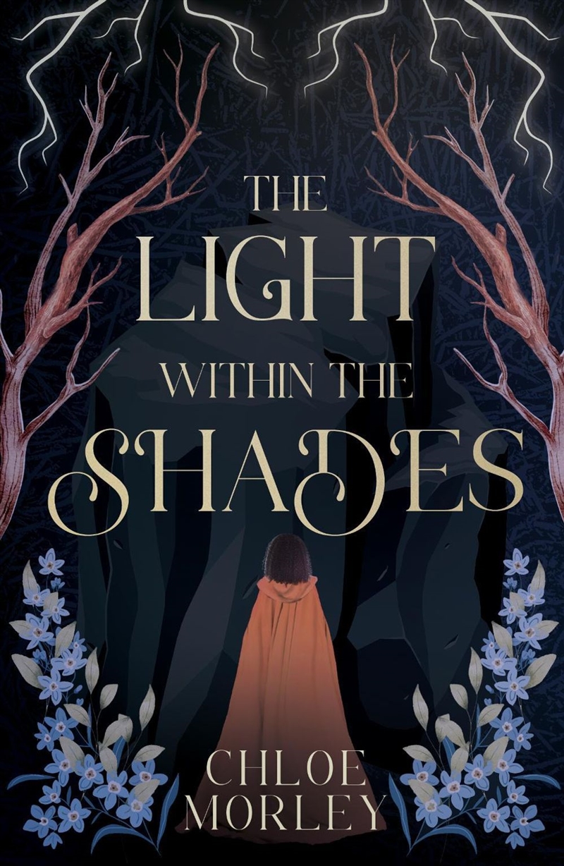 The Light Within The Shades/Product Detail/Fantasy Fiction