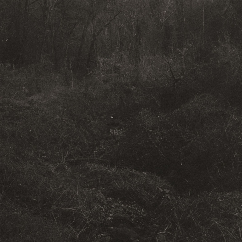 Transient/Product Detail/Dance