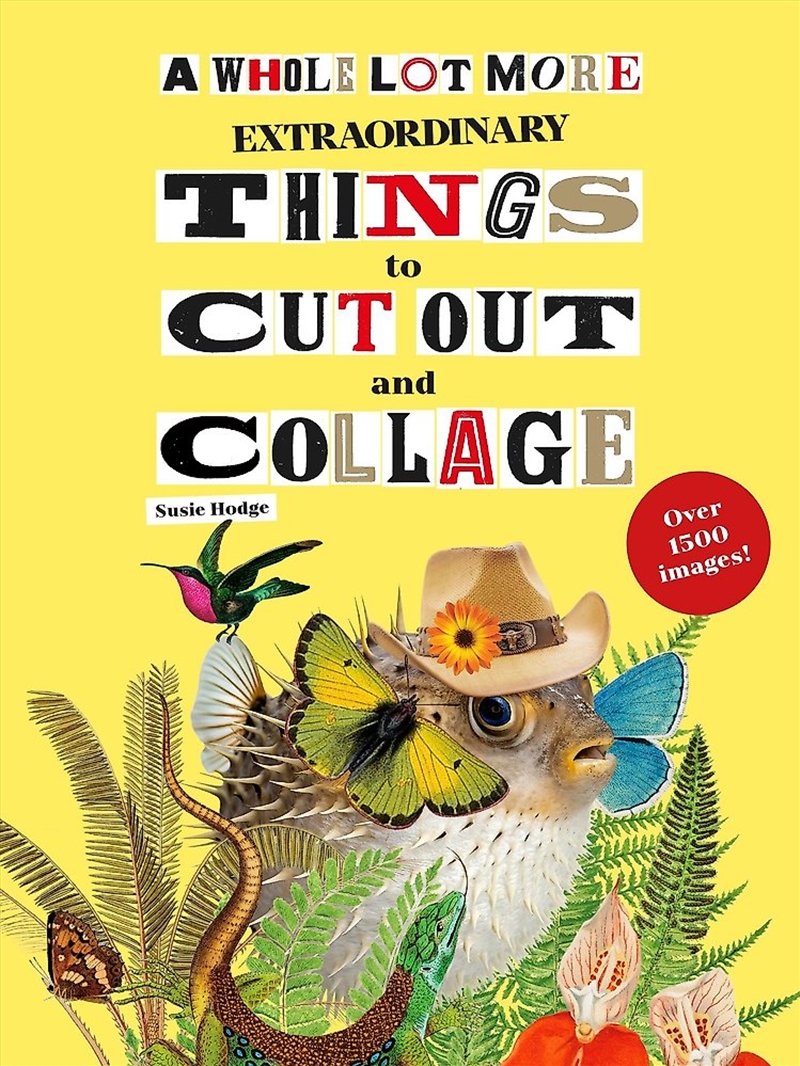 A Whole Lot More Extraordinary Things to Cut Out and Collage/Product Detail/Crafts & Handiwork